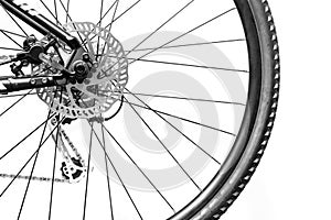Rear bicycle wheel