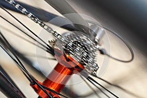 Rear bicycle wheel and racing gears in motion