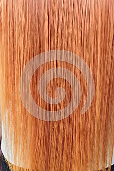 Rear closeup view of the shoulders of red haired carrot-top female.