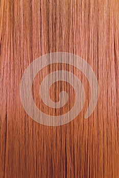 Rear closeup view of the shoulders of red haired carrot-top female.