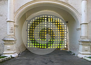 Rear entrance gate in the Izmaylovo estate