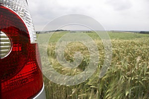 Rear light in cornfield - landscape