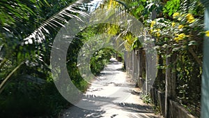 Rear point of view 4K video from behind the rider of a moped on a path through the rain forest of the Mekong Delta, Vietnam