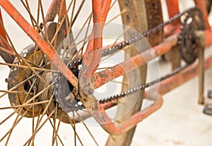 Rear racing bike cassette on the wheel with chain
