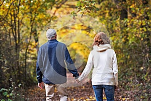 A rear view of a senior couple walking in an autumn nature.