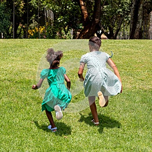 Rear view of African kids running in garden