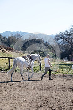 Rear view of a bald cowboy man walking with his white horse