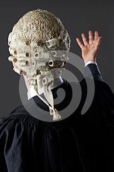 Rear View Of Barrister Making Speech In Court