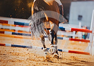 A rear view of a bay horse with shod hooves and a rider in the saddle, which jumps over a high barrier. Equestrian sports and