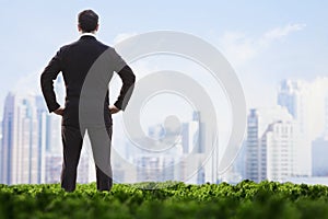 Rear view of businessman with hands on hips standing in a green field and looking at the city skyline