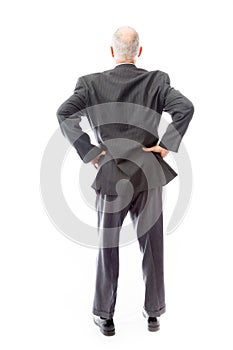 Rear view of a businessman standing with his arms akimbo