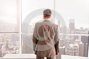 Rear view of businessman standing near window