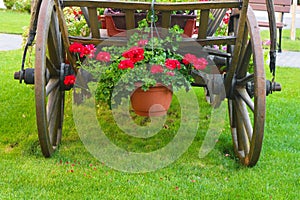 Rear view of a cart decorated with flowers and installed in the garden