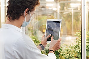 Rear view of Caucasian male scientist taking photo of green plants in glasshouse