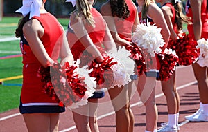 Rear view of cheerleaders on the sideline with their pom poms