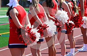 Rear view of cheerleaders on the sideline with their pom poms photo