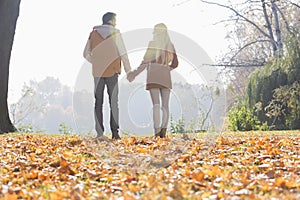 Rear view of couple holding hands in park during autumn