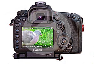 rear view of a dlsr camera