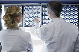 Rear View Of Doctors Discussing Brain Scans