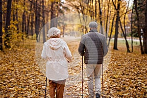 Rear view on elderly couple in love engaged in Nordic walking going in autumn nature park