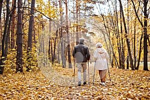 Rear view on elderly couple in love engaged in Nordic walking going in autumn nature park