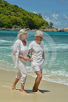 Rear view of elderly couple walking on beach