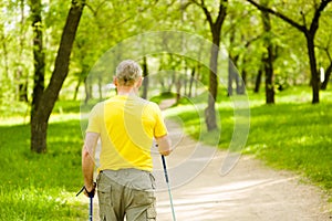 Rear view of an elderly man engaged in Nordic walking