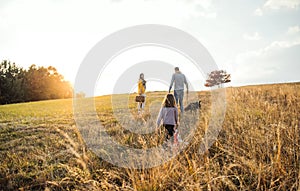 A rear view of family with child and a dog on a walk in autumn nature at sunset.