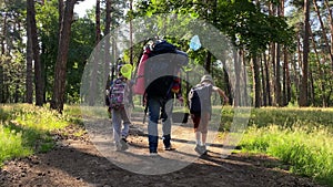 Rear view family hiking adventure in forest on sunny day