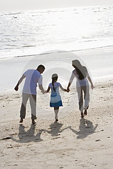 Rear view of family holding hands walking on beach