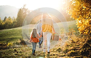 A rear view of family with small child on a walk in autumn nature. photo