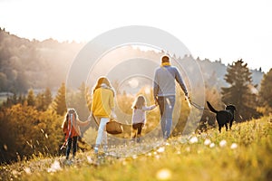 A rear view of family with two small children and a dog on a walk in autumn nature.