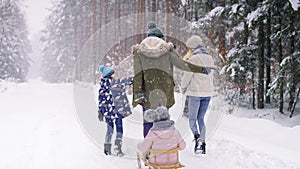 Rear view of family walking in winter forest.