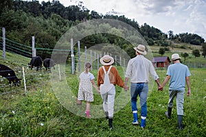 Rear view of farmer family walking by animals in paddock. Farm animals having ideal paddock for grazing. Concept of