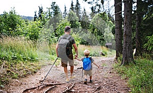 Rear view of father with small son hiking outdoors in summer nature, walking.