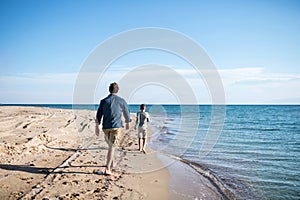 Rear view of father with small son outdoors on beach, running in water.