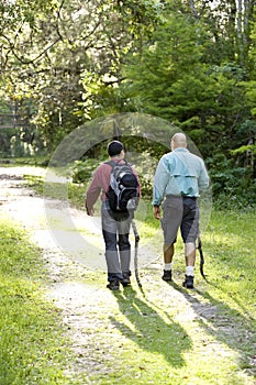 Rear view father and son hiking in woods on trail