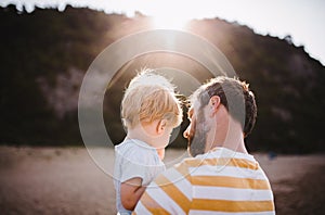 Rear view of father with a toddler boy standing on beach on summer holiday at sunset.