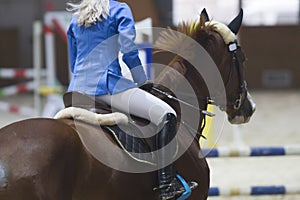 Rear view of female equestrian on the ginger stallion at show jumping competition