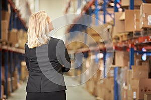 Rear View Of Female Manager In Warehouse