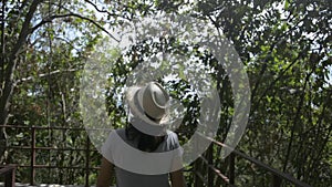 Rear view of female nature conservationist walking through tropical forest and watching beauty of evergreen trees in the rural.