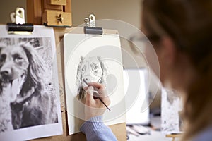 Rear View Of Female Teenage Artist Sitting At Easel Drawing Picture Of Dog From Photograph In Charcoal