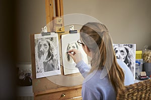 Posteriore da una donna adolescente artista sul piedi disegno una foto da il cane fotografie carbone 