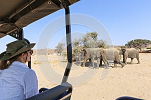 Rear view of girl on safari in Africa observing elephants from open vehicle