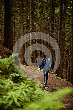 Rear view of a girl walking on the woods, traveler in romanian carpathian mountains, wears in denim clothes, looking up