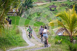 Rear view of a group of people riding bicycles on a trail through a lush green jungle