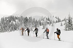 rear view of group of tourists on skis in snow. Ski touring concept