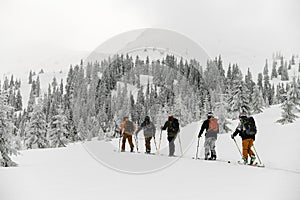 rear view of group of travelers with backpacks hiking on skis in snow. Ski touring concept