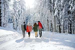 A rear view of group of young friends on a walk outdoors in snow in winter forest.