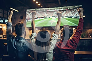 Rear view of a group of young people sitting in a pub and cheering while watching a football match, rear view Friends Watching